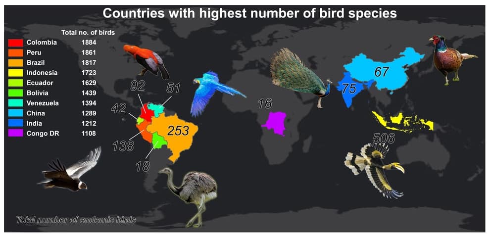 Countries with highest bird richness