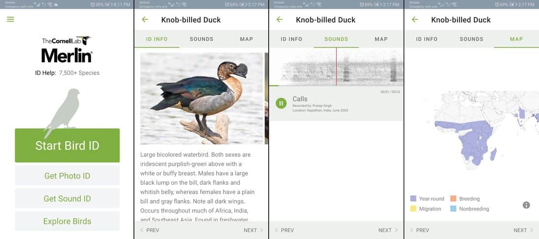 Birding Smart Merlin Bird ID APP Bird Watching Today