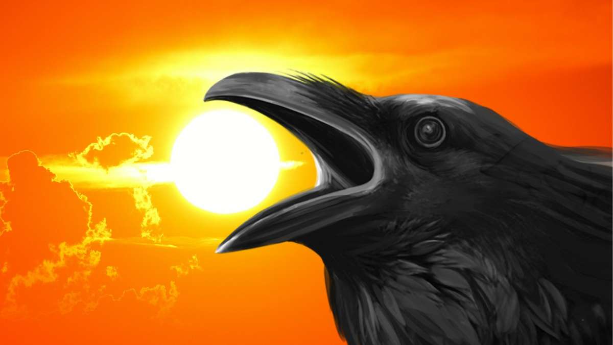 Are Crows Bad Luck Is It a Myth