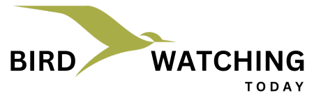 Logo - Bird Watching Today